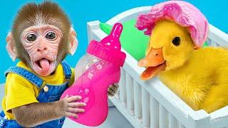 KiKi Monkey pretend best brother Take Care of Cute Duck by Biggest Milk Bottle | KUDO ANIMAL KIKI