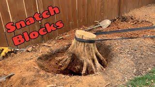 How to Remove a Stump Using a Hand Winch