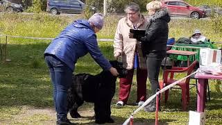 2019-05-25 РЧТ выставка