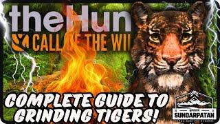 How to GRIND TIGERS: A Complete Guide! WATCH NOW and get those RARE FURS!!! WATCH till the END! 