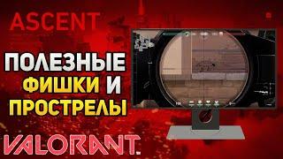 Полезные фишки и прострелы в VALORANT на карте ASCENT | гайды и советы