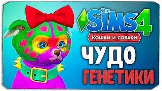 ЧУДО ГЕНЕТИКИ, ТАК МЫ ЕЩЕ НЕ СМЕЯЛИСЬ! - The Sims 4 "Кошки и Собаки"