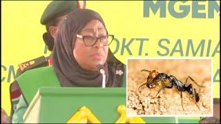 RASI SAMIA SIJAWAHI KUUWA MTU LABDA SISIMIZI NIMEUA,MDOMO WA MWENYEKITI MMOJA HAUTOSHELEZI TUMJIBU