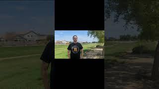 Suburban K9 Phoenix - Devon