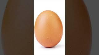 This Is Just An Egg