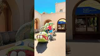 Kids Just Being Kids at Balboa Park  #FamilyFun #Shorts