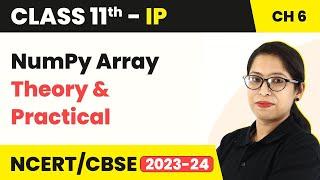 NumPy Array - Introduction to NumPy (Theory & Practical) | Class 11 Informatics Practices Chapter 6