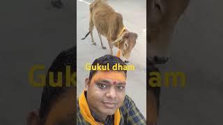 Jai shree krishna #gukul #shotfeeds #nirmal #vaishnav