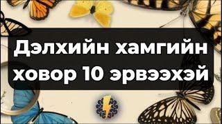 Дэлхийн хамгийн ховор 10 эрвээхэй