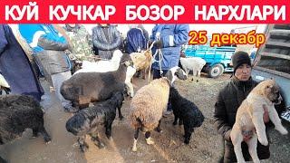 КУЙ КУЧКАР БОЗОР НАРХЛАРИ ХОРАЗМ БОГОТ КУЙ КУЧКАР БОЗОРИ 25 ДЕКАБР 2024Г