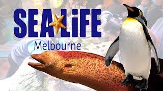 SEA LIFE MELBOURNE _ 23/10/2022