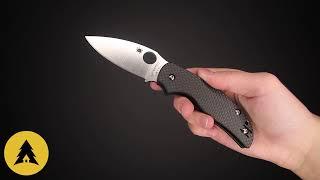 Складной нож Spyderco Sage 5