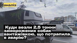 Аварія з вантажівкою в Миколаєві. Куди у вантажівці везли 2,5 тонни заморожених собак? @mukhachow