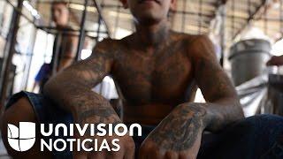 La Mara Salvatrucha de El Salvador propone al gobierno un diálogo que podría incluir su desintegraci