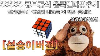 3X3X3 큐브공식 이제 전국민 다맞춘다 [설숭이버젼]