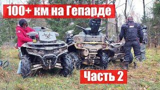 Покатушка на Гепарде. Конец близок...
