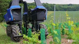 Bakus the Electric vine straddle robot on demonstration in England