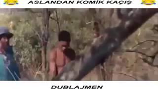 ASLANDAN KAÇIŞ / KOMİK DUBLAJ / DUBLAJMEN