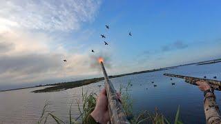 Duck Hunting South Louisiana Marsh on OPENING DAY! (4K DJI Osmo 4)