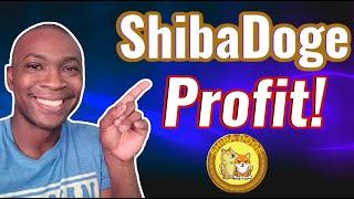 ShibaDoge Profit! How Much Could Your ShibaDoge Be Worth | Captain Spreadsheet