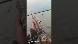 BEST DUCK HUNTING SHOT in the WORLD