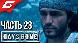 DAYS GONE (Жизнь После)  Прохождение #23  НОВАЯ НАДЕЖДА