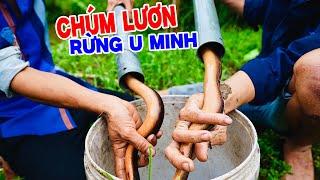 Đặt Chúm Lươn Rừng Tràm - Lươn Nấu Mẻ Rau Bắp Chuối