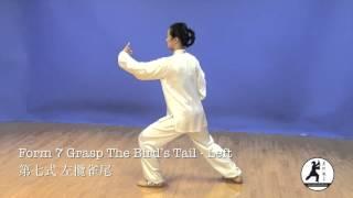 24 Form Tai Chi Demonstration Back View Master Amin Wu 吳阿敏背向示範楊式24式太極拳