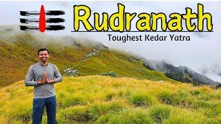 Rudranath Mahadev Yatra I Rudranath Mahadev Darshan I Rudranath Temple I Desi Wanderer I