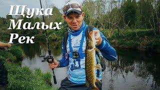 БЕШЕНЫЙ клев щуки! Преимущества кастинговой снасти - Fishing Today.