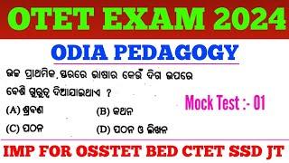 Target OTET Exam 2024 !! Odia Pedagogy MCQs  !! OTET Previous Years Odia MCQs !! CTET OSSTET SSD JT