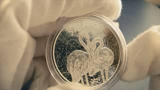 Монета Silver Flamingos coin 2018 St. Lucia 1 oz  (1) EC8