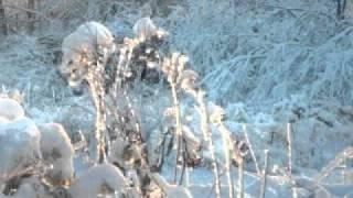 EugeneKha - Sometime (2010)