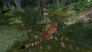 Animals 3d Iclone