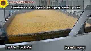 Виділення зародка з кукурудзяної крупи на вібропневмостолі /Isolation of the embryo from corn grits