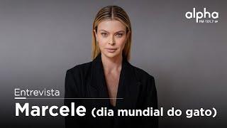 Dia Mundial do Gato: Marcele Becker fala sobre adoção responsável e Instituto Ampara Animal ok