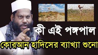 কি এই পঙ্গপাল কোরআন হাদিসের ব্যাখ্যা শুনো । Islamic Life Media