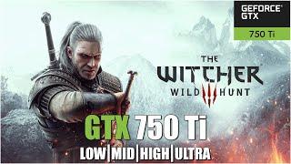 Witcher 3 Wild Hunt || All Settings Tested GTX 750Ti FPS TEST