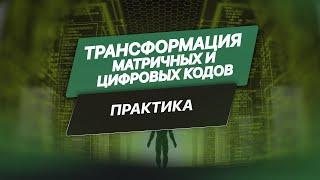 «Трансформация матричных и цифровых кодов». Краткий экскурс сеанса