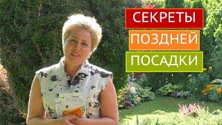 ЧТО МОЖНО ПОСАДИТЬ В ОГОРОДЕ СЕЙЧАС! ЛЕТО ПОЧТИ КОНЧИЛОСЬ, А СЕЗОН ПОСАДОК - НЕТ!