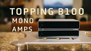 Topping B100 Mono Amp Review - Great for DJs or Music Producers