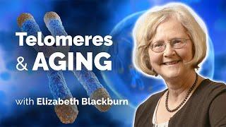 Explorations of Telomere Biology in the Context of Human Aging with Elizabeth Blackburn