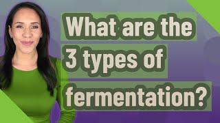 What are the 3 types of fermentation?