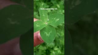 10 Life Lessons in under 1 min.  #LifeHack #FourLeafClover #LuckyCharmDon #Affirmation