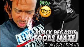 YOU CANT BEAT NERDS AT RAP |BLACK PEGASUS FOOLS MATE |REACTION