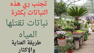 تجنب ري هذه النباتات/نباتات داخلية/نباتات زينه/نباتات عصاريه/نباتات تتحمل العطش/الري بإنتظام