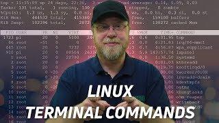 10 Linux Terminal Commands for Beginners