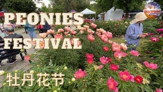 Breathtaking Blooms : Journey Through Oshawa's 19th Peonies Festival! 4K