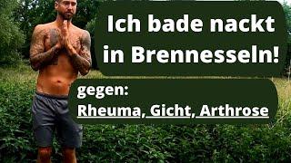 Rheuma, Arthrose, Gicht? Nesselpeitschen hilft! Erklärung und Anleitung