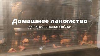 Домашнее лакомство для дрессировки